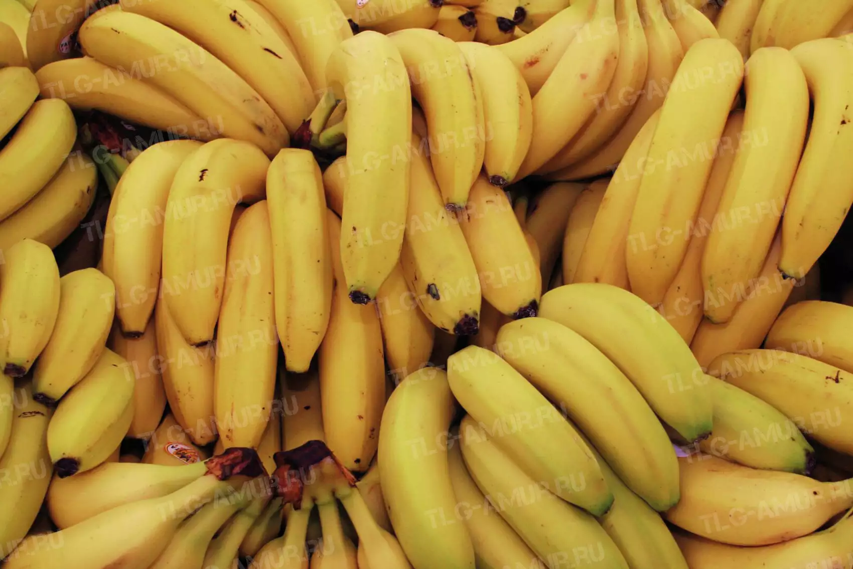 Поставки бананов из Китая в Россию выросли в 19 раз